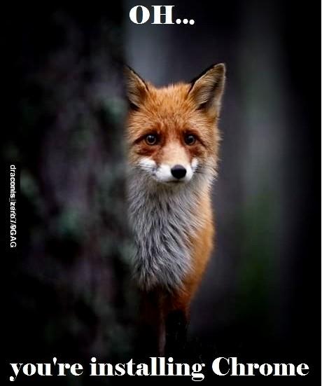 Sad Firefox is sad... 1