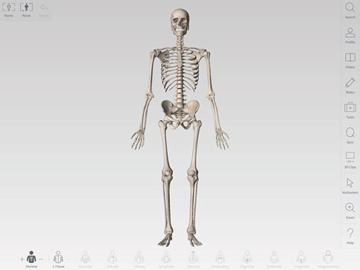Complete Anatomy - 3D 高清，看遍人体骨骼图[iPad] 2