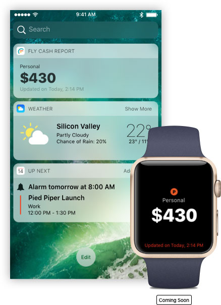 Fly Cash - 带着 Emoji 一起来记账[iPhone/iPad] 3