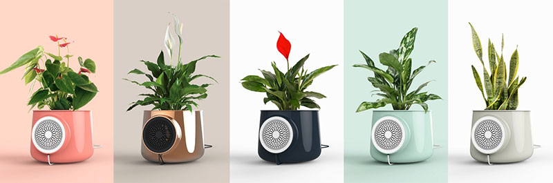 Clairy - 用「真・植物」「可・解毒」的室内空气净化器 4