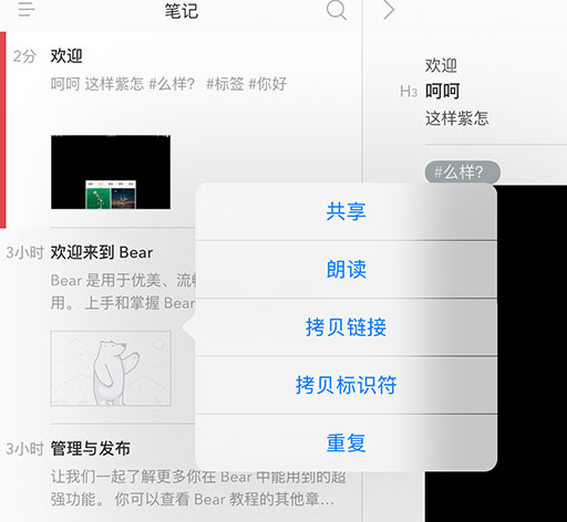 Bear - 可能是最优雅的 Apple 平台云笔记应用 2