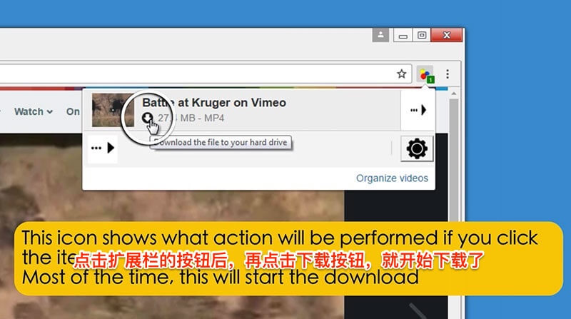 Video DownloadHelper - 最简单的方式下载网页视频 [Chrome/Firefox] 2