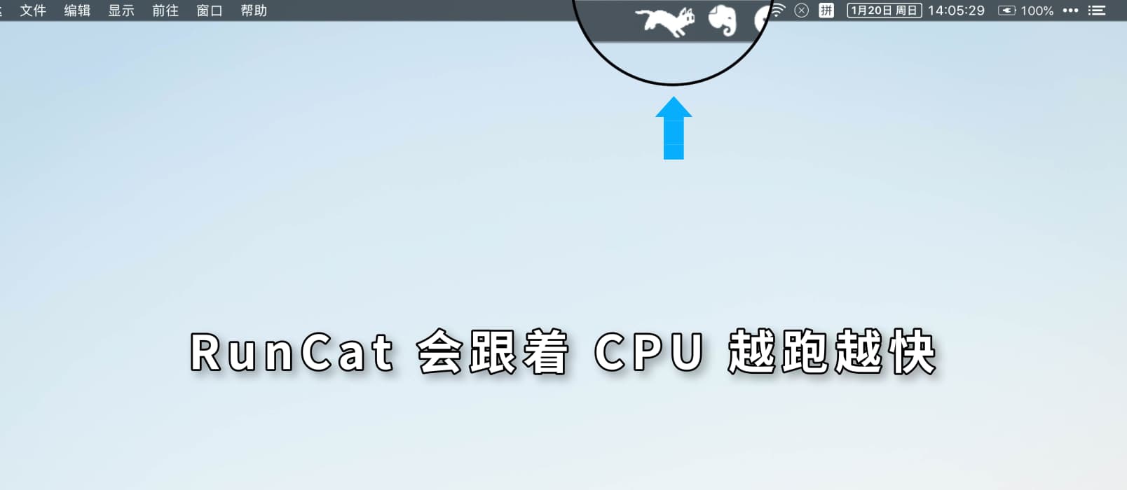 RunCat - 在 macOS 顶部菜单栏随 CPU 越跑越快的猫 1