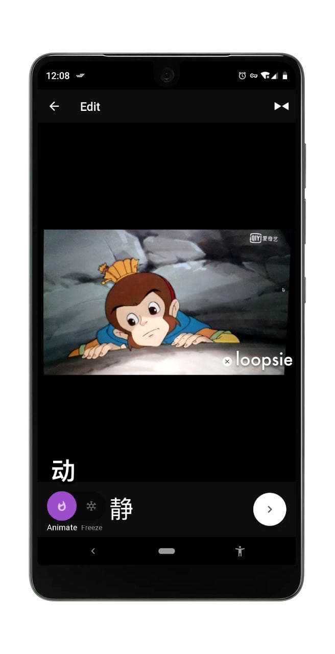 Loopsie - 从视频中制作局部动图，全世界都静止了，只有你会动[iPhone/Android] 3