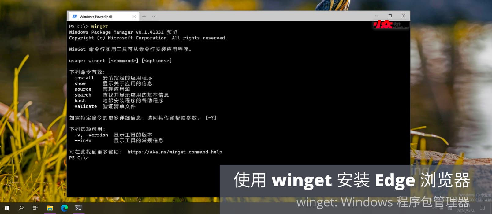 Windows 程序包管理器：使用 winget 安装 Edge 浏览器[视频] 1
