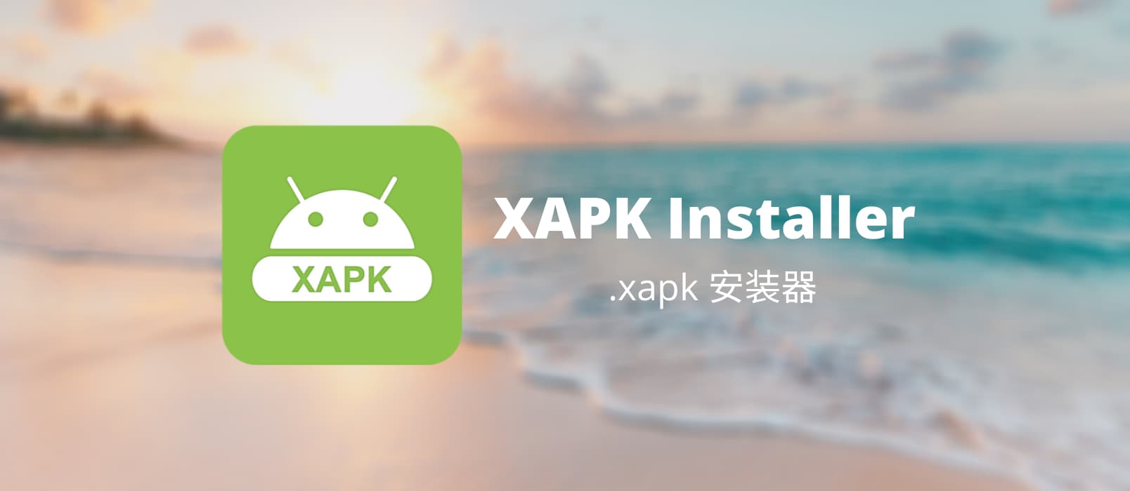 XAPK Installer - 安卓应用安装文件 .xapk 安装器[Android] 1