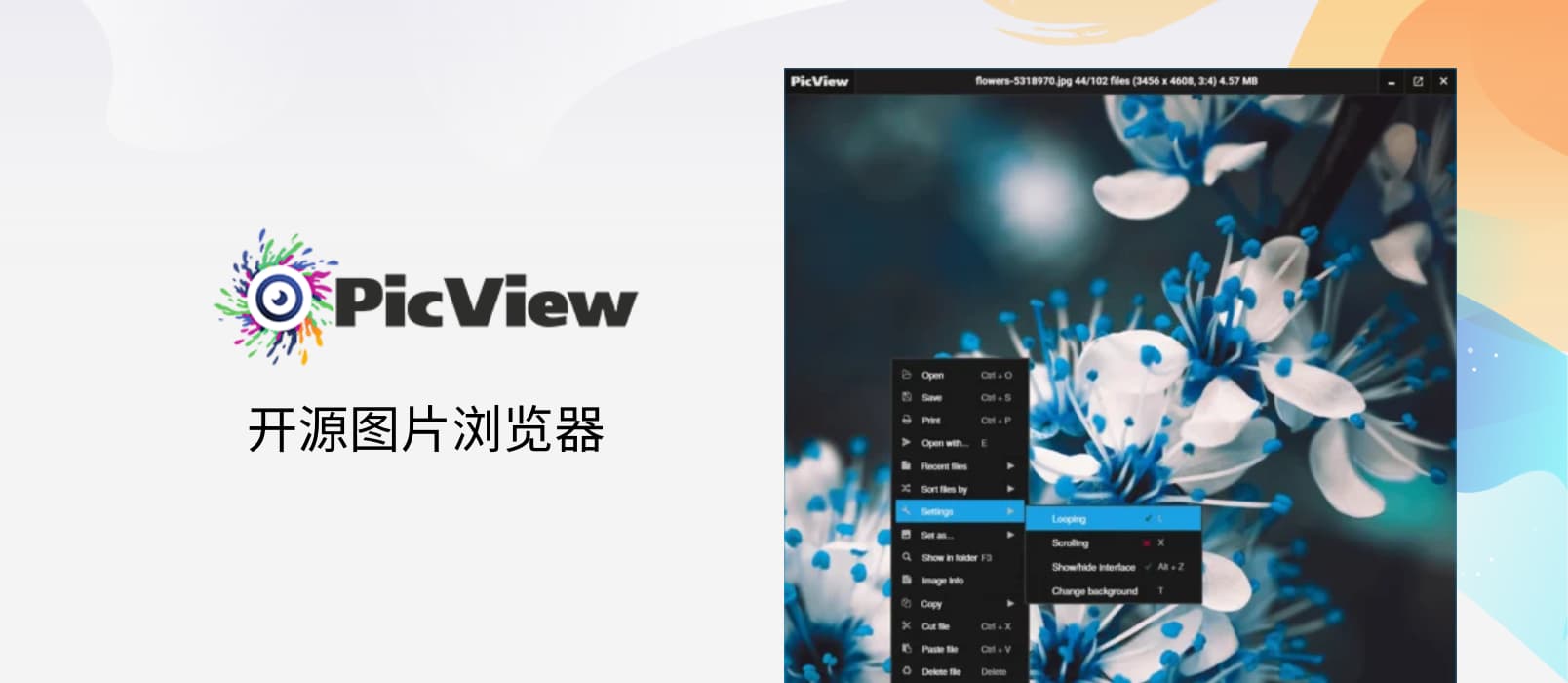 PicView - 开源图片浏览器，可查看压缩包图片，快速、“小巧”[Windows] 1