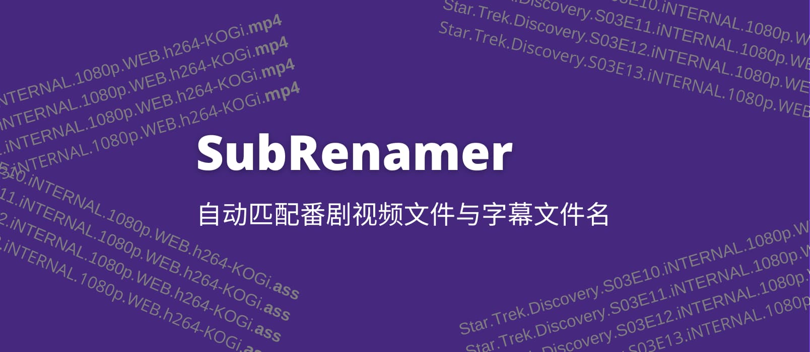 SubRenamer - 字幕批量重命名，自动匹配视频文件与字幕文件[Windows]