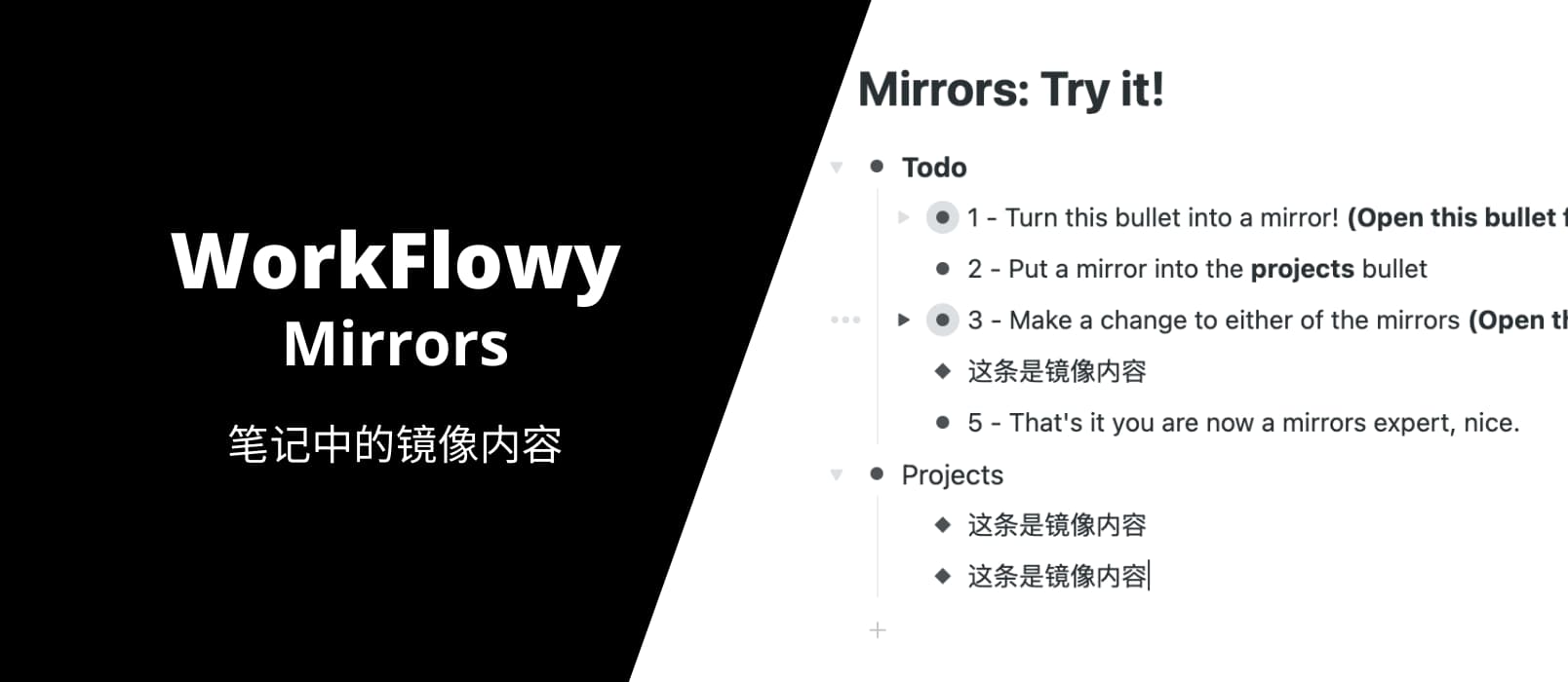 WorkFlowy 发布新功能 WorkFlowy Mirror，可镜像复制内容，多条内容间同步更新