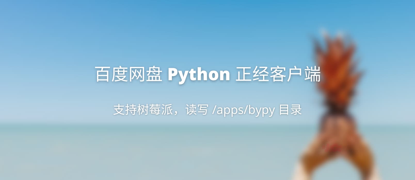 百度网盘 Python 客户端 - 正经客户端，可在树莓派上使用