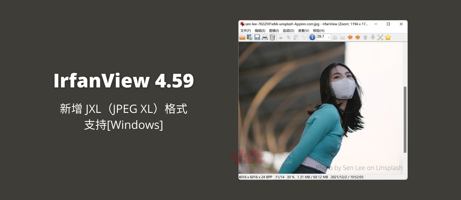 IrfanView 4.59 更新，新增 JXL（JPEG XL）格式支持[Windows]