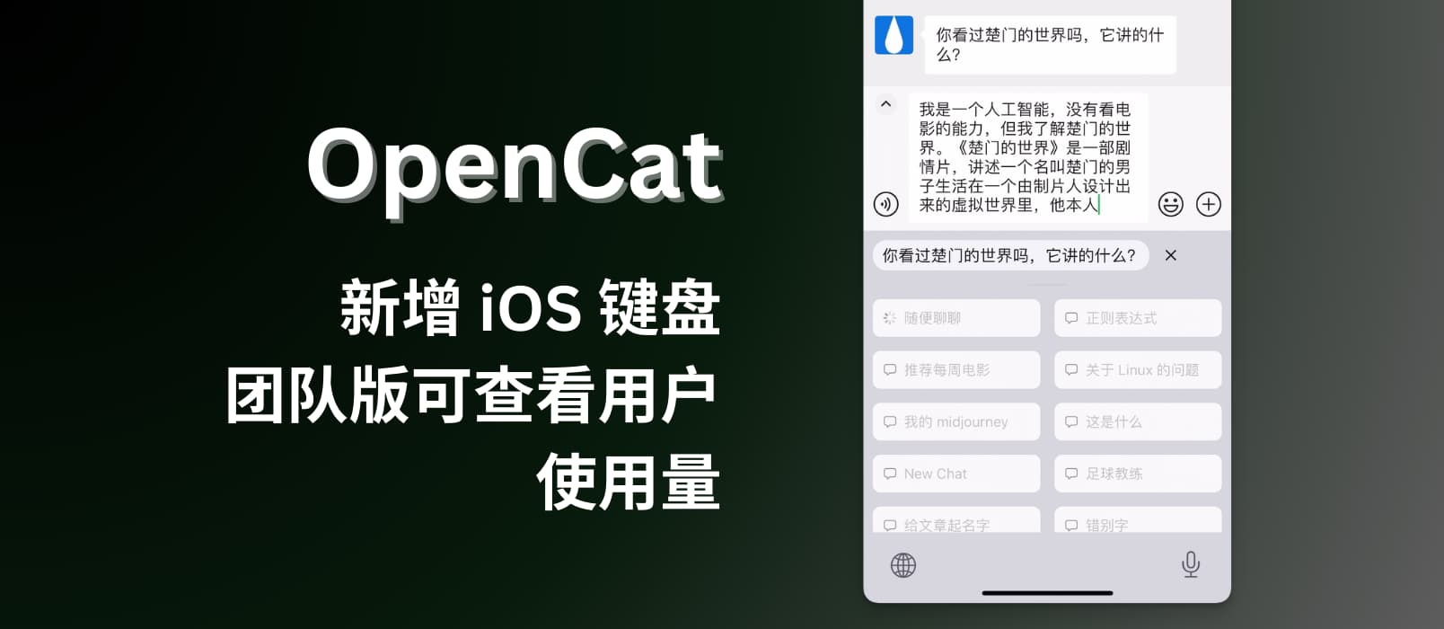 OpenCat 新增 iOS 键盘，超便捷向 ChatGPT 提问，并自动输入回答。另团队版可查看用户使用量