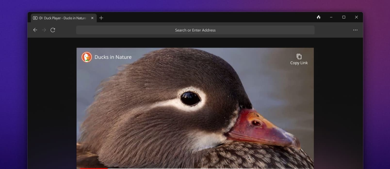 DuckDuckGo 桌面浏览器 Windows 测试版发布，隐私保护优先