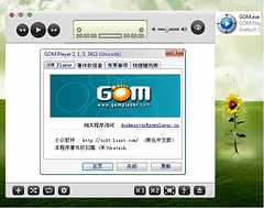GOM Player V2.1.3.3413 绿色中文美化正式版 1