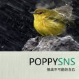 [代招聘]PoppySNS 驻小众软件第四次招聘：PHP程序员 5